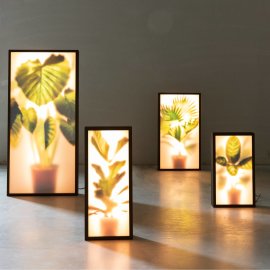 Talna svetilka Grow L