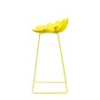 Barska stolica Filicudi Yellow