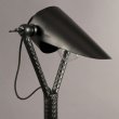 Podna lampa Falcon Black