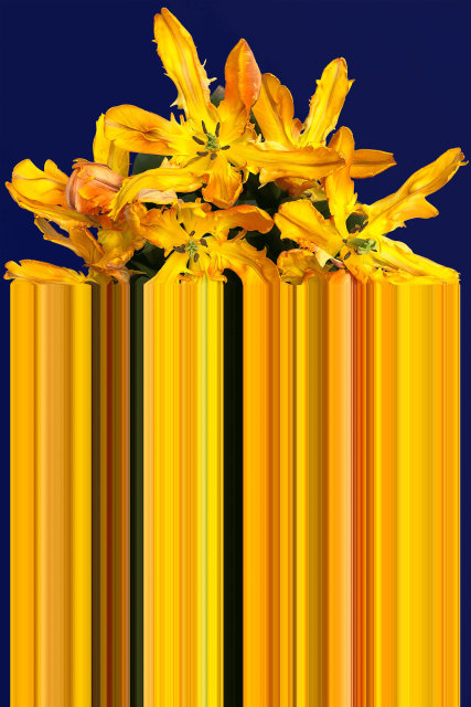 Tepih Glitch Yellow Rectangular