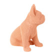 Dekoracija Dog Bul Pink