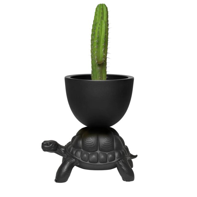 Cvetlični lonček in posoda za penino Turtle Carry Black