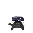 Tabure Turtle Carry Black