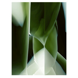 Tepih Studio Nucleo Green Onyx FR 300x400 cm