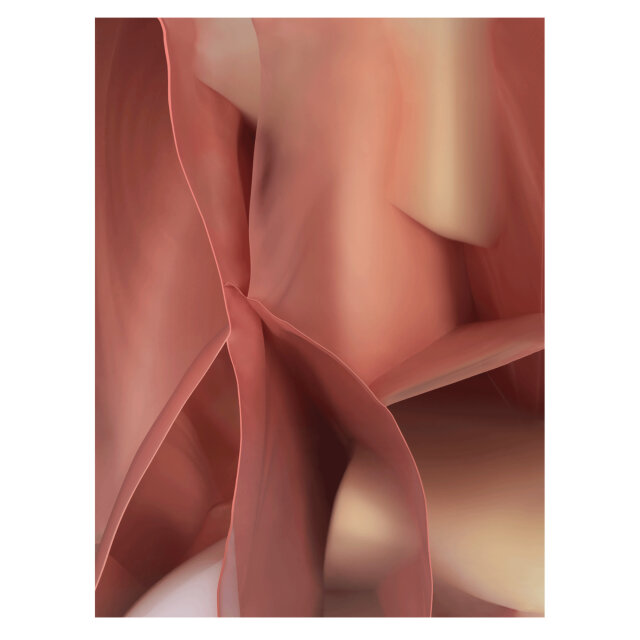 Preproga Studio Nucleo Pink Opal FR 300x400 cm